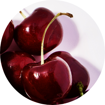 Bitter Cherry Seed Oil